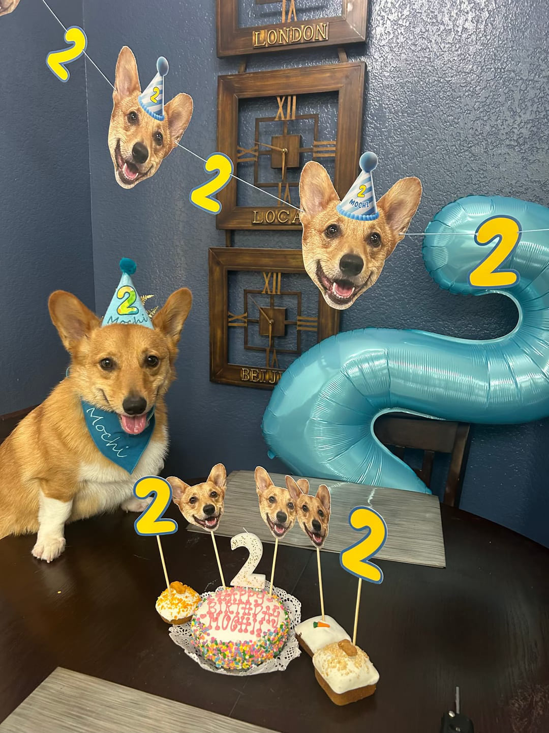 How Do I Spoil My Dog on His Birthday?