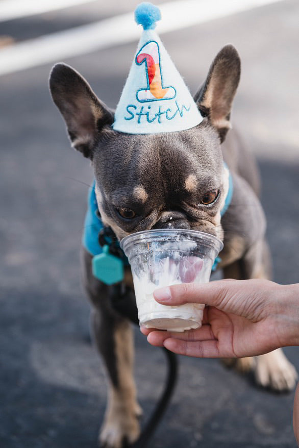 How to Make Cake for Dogs at Home