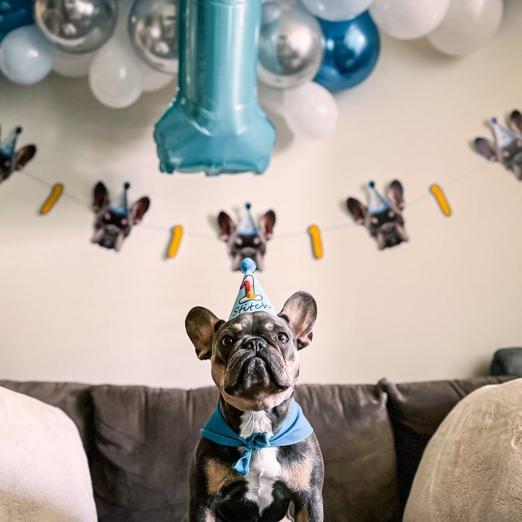 Standard Personalized Dog Party Pack