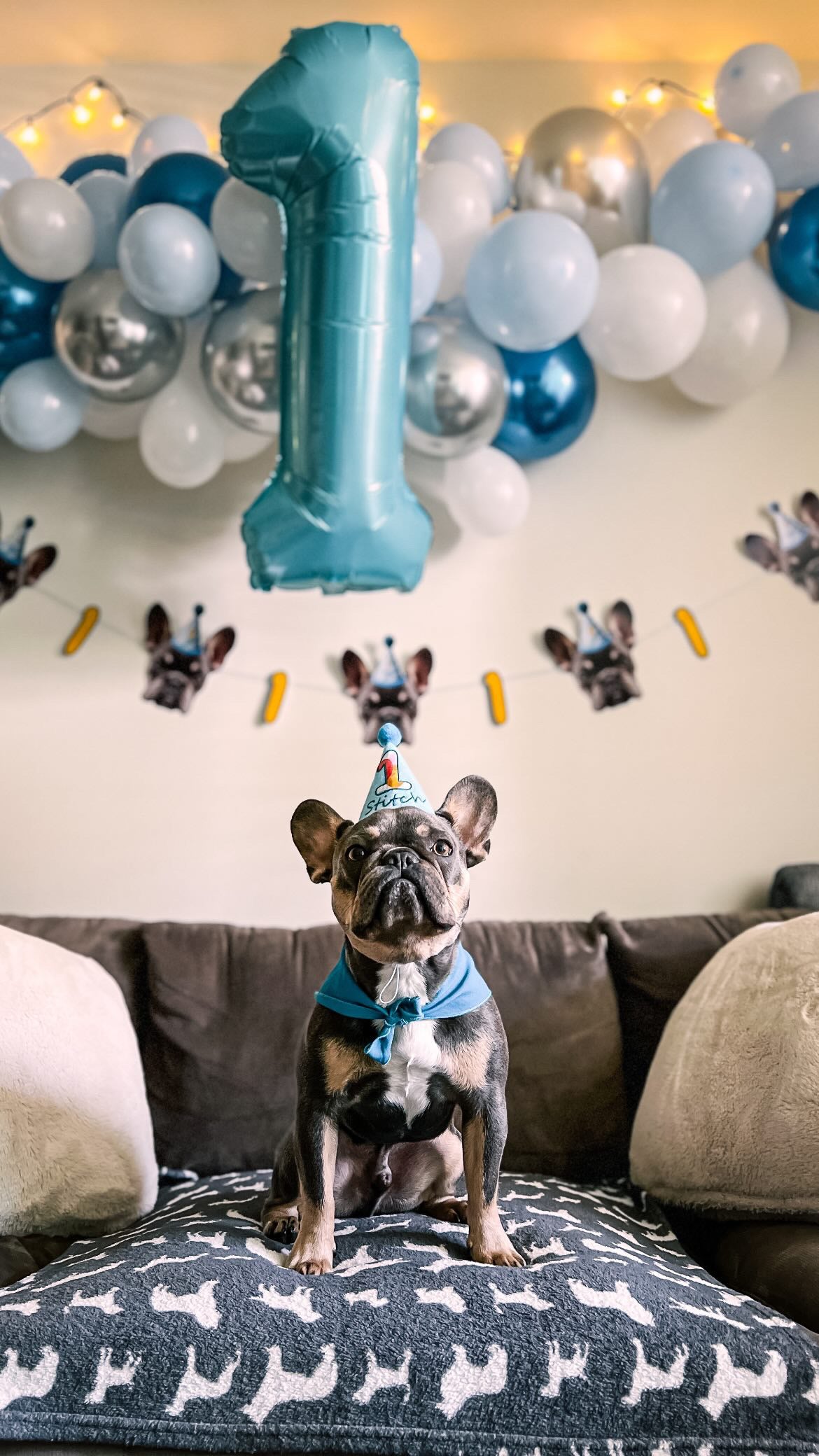 Standard Personalized Dog Party Pack