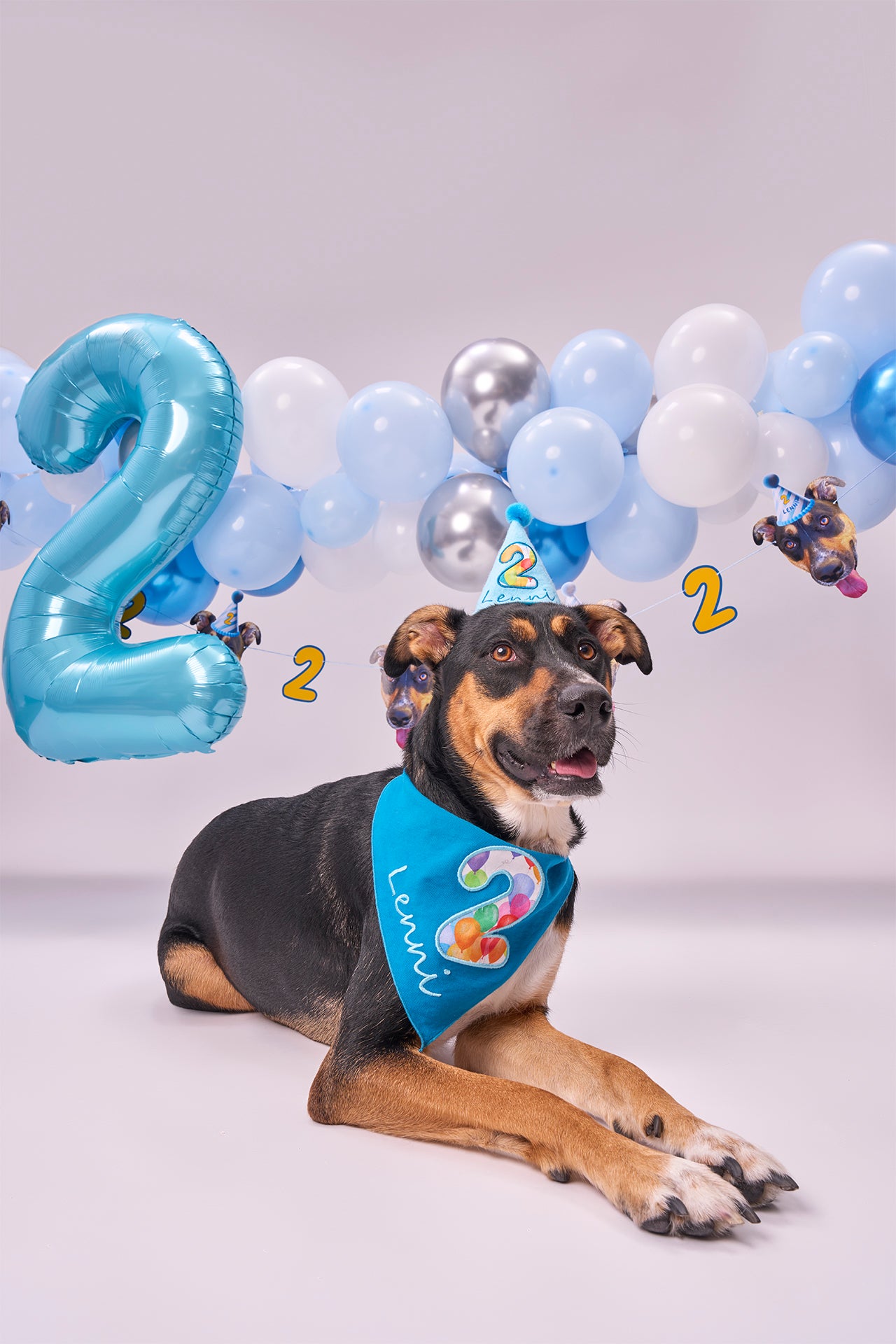 Standard Personalized Dog Party Pack