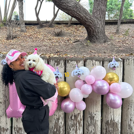 Standard Personalized Dog Party Pack