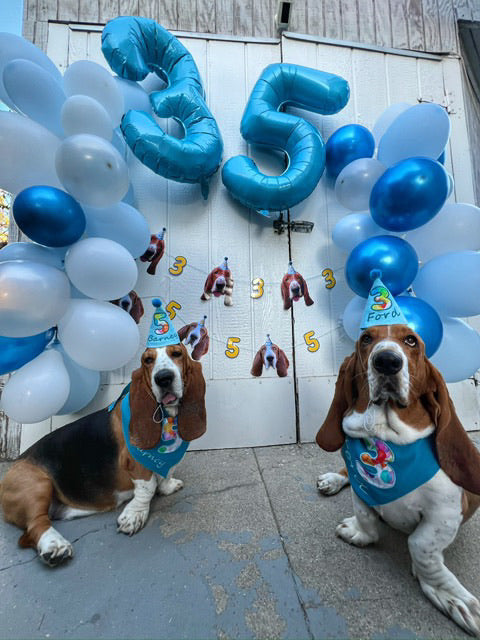 Standard Personalized Dog Party Pack