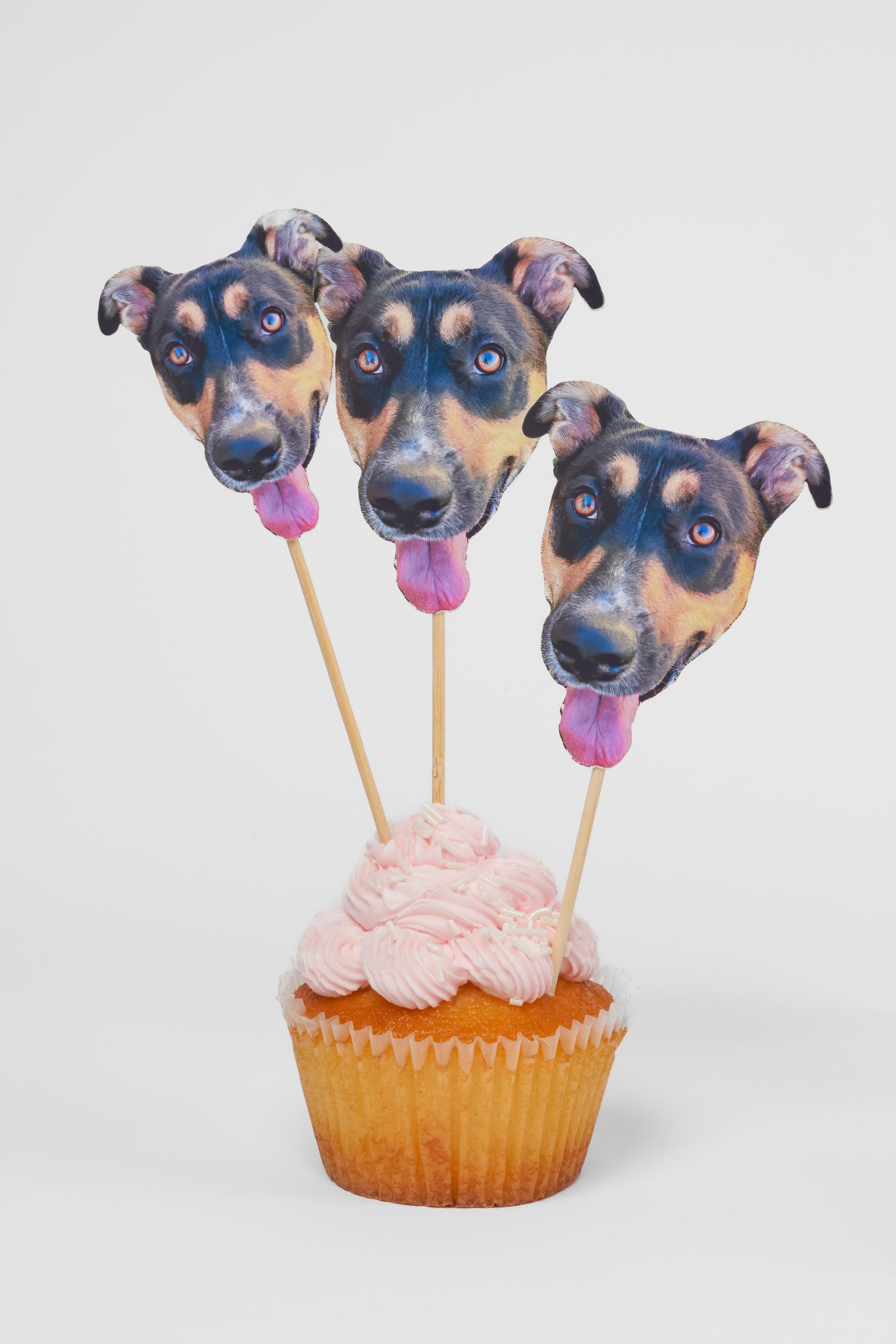 PartyAnimal PartyPack - South Park Doggie Special! - PartyAnimal