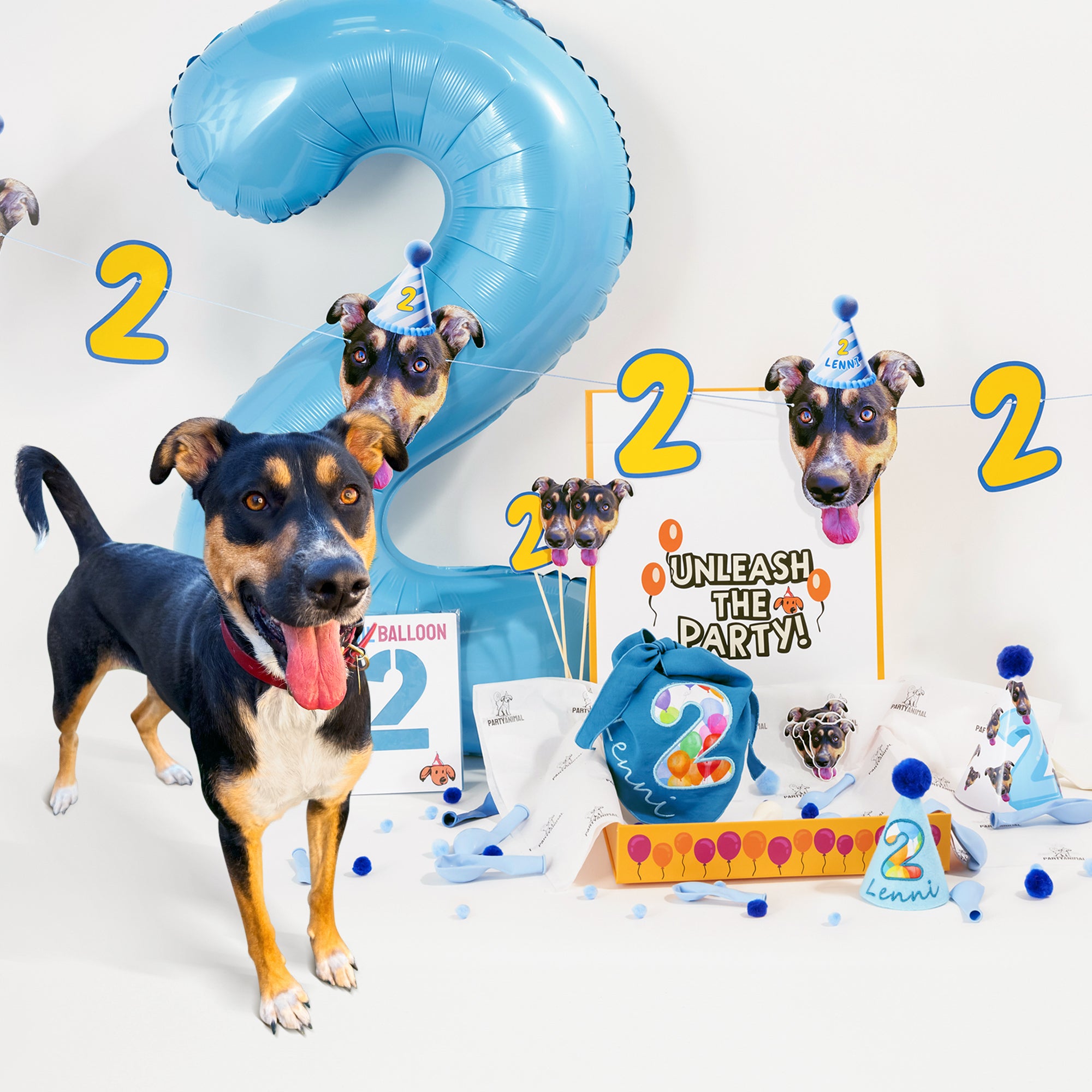 Lite Personalized Dog Party Pack