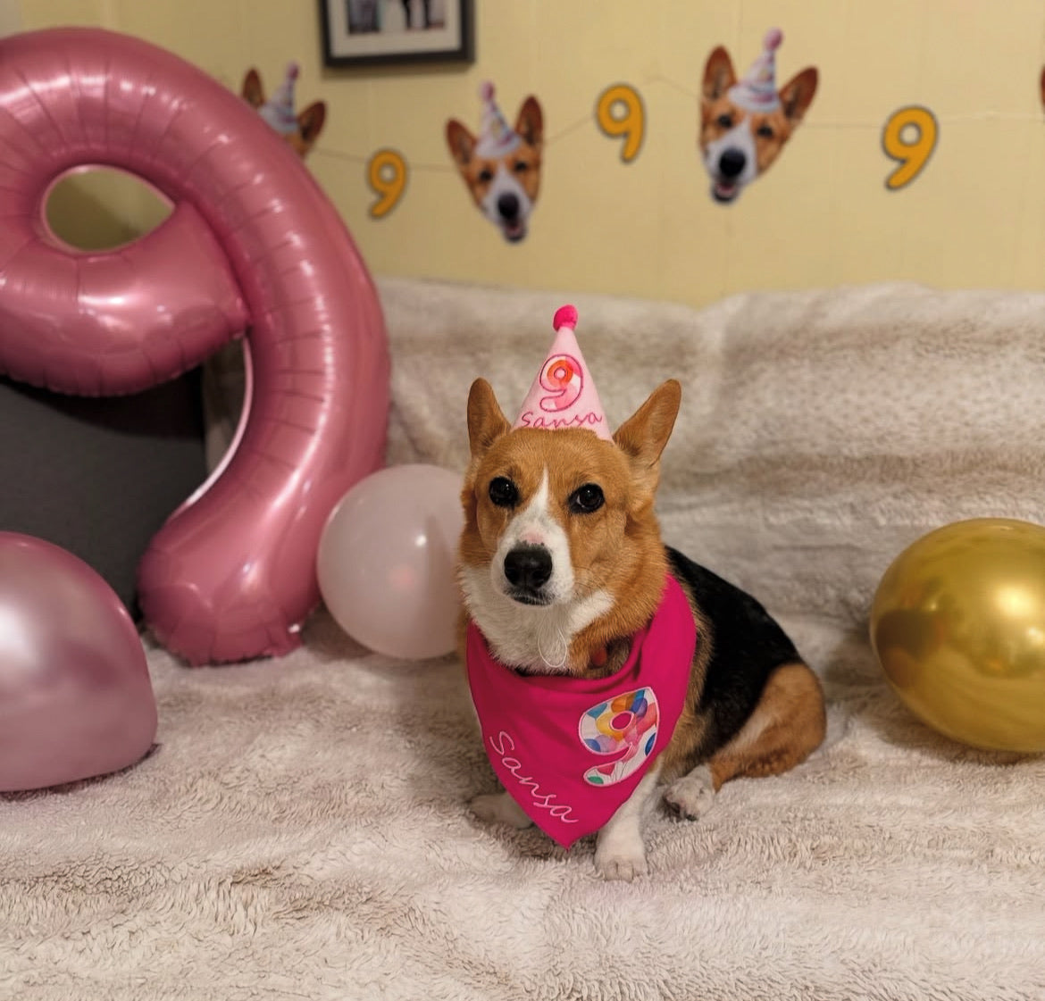 Standard Personalized Dog Party Pack