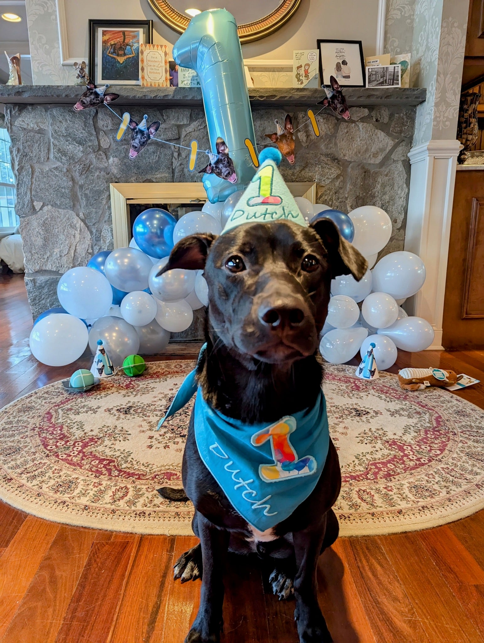 Lite Personalized Dog Party Pack