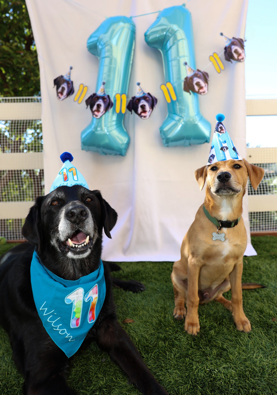 Lite Personalized Dog Party Pack