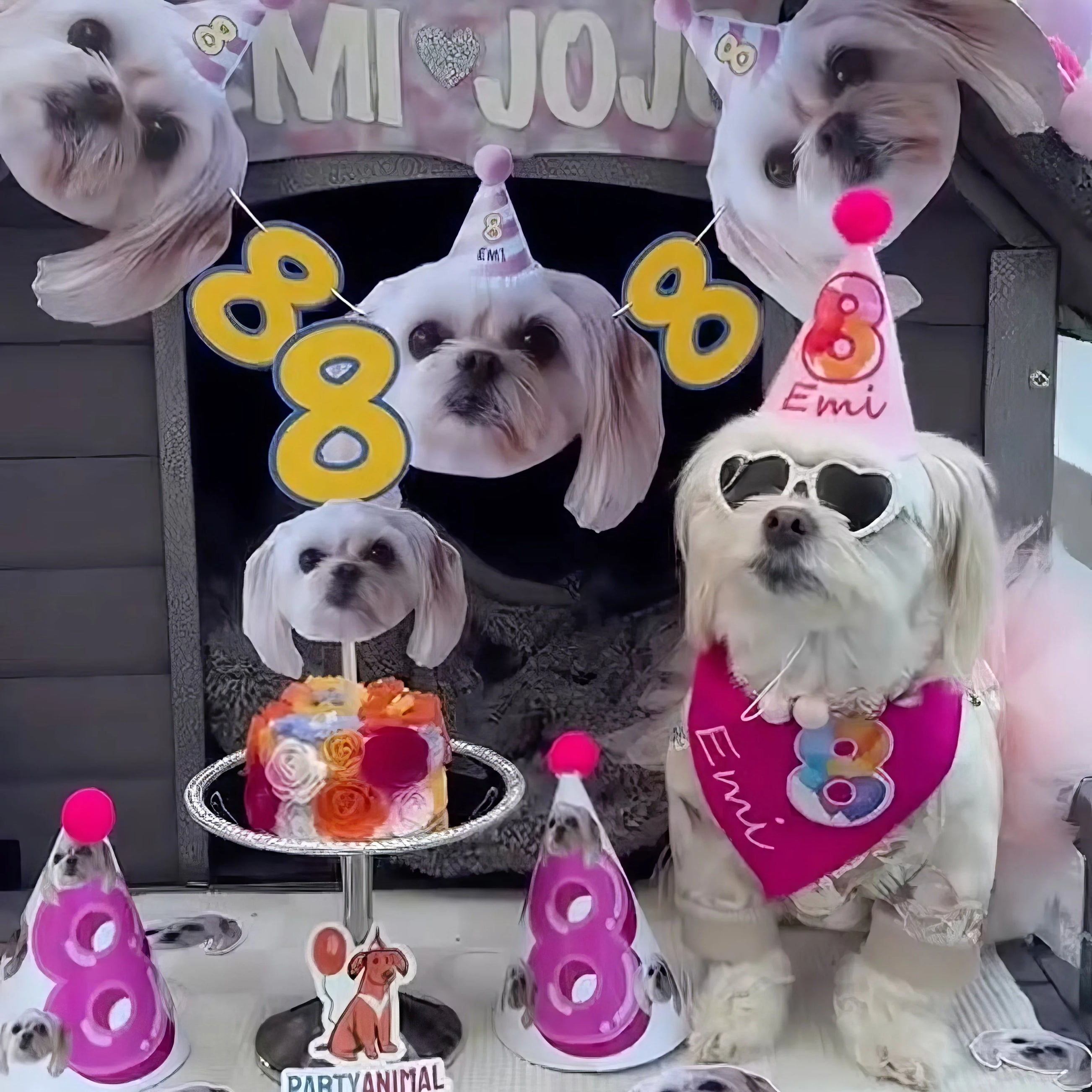 Standard Personalized Dog Party Pack