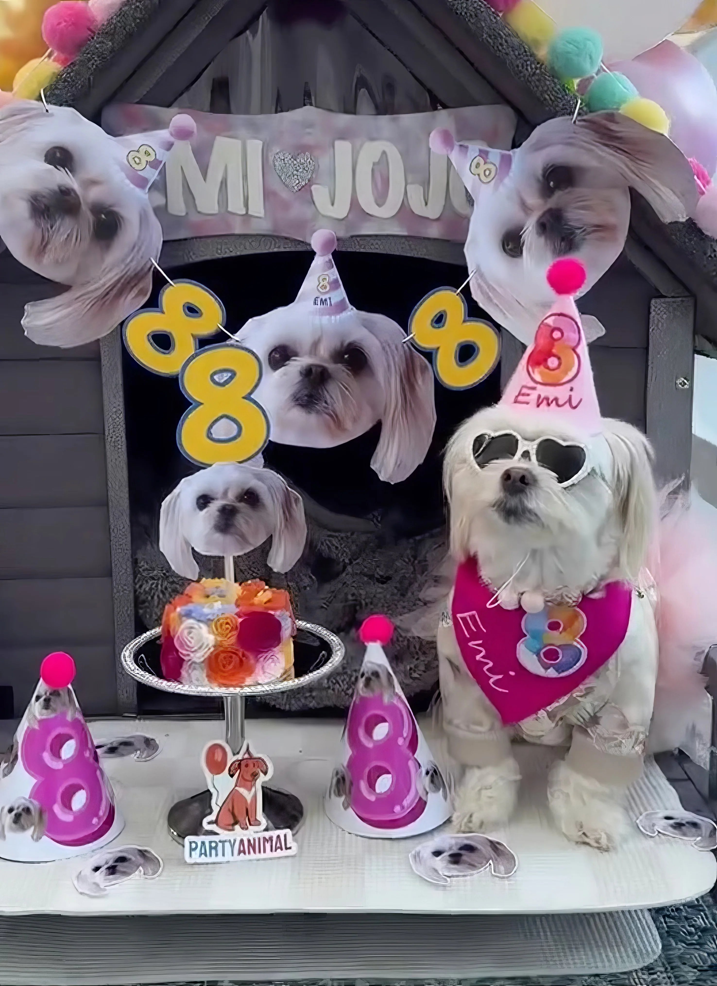 Standard Personalized Dog Party Pack