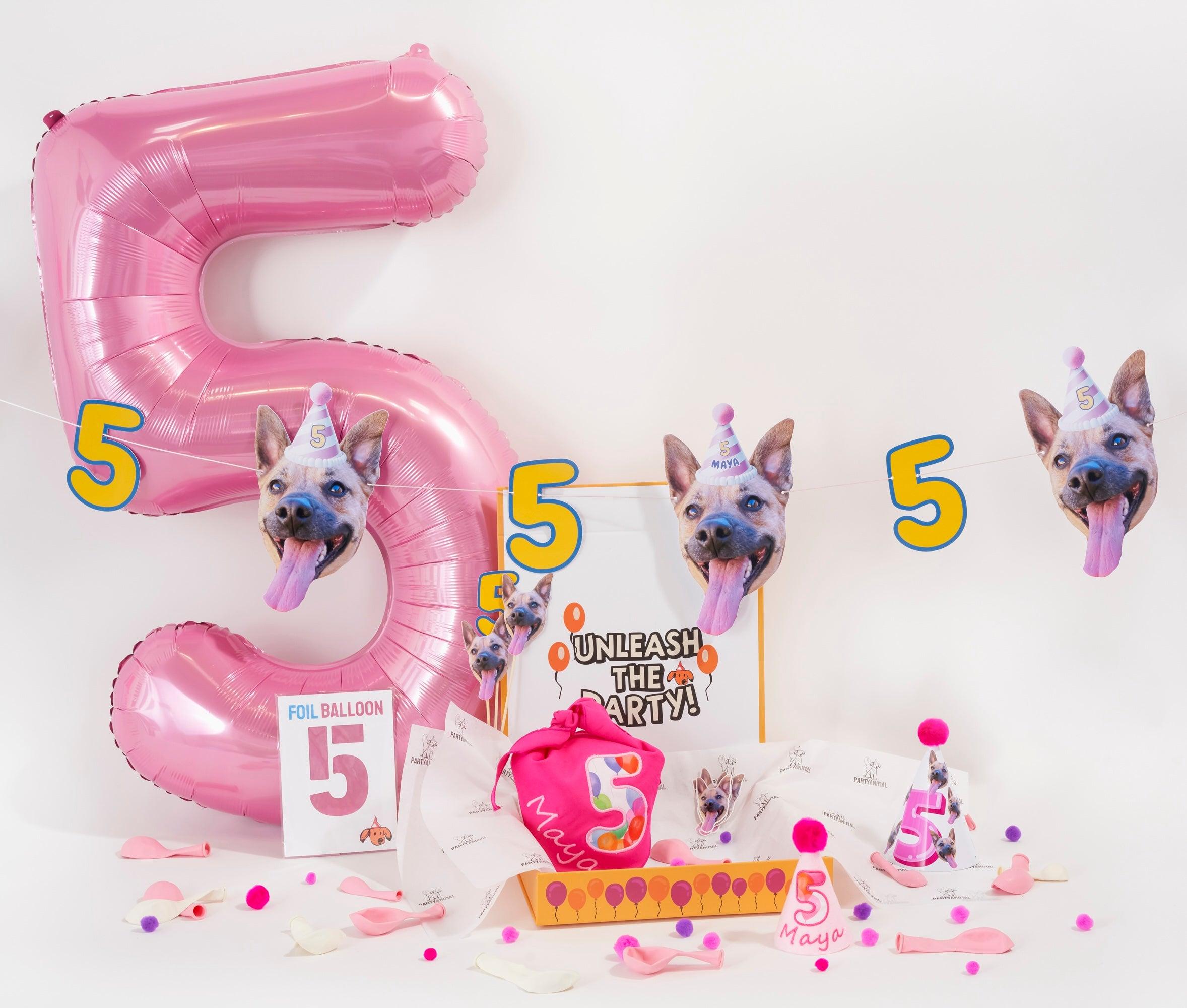 PartyAnimal PartyPack - PartyAnimal