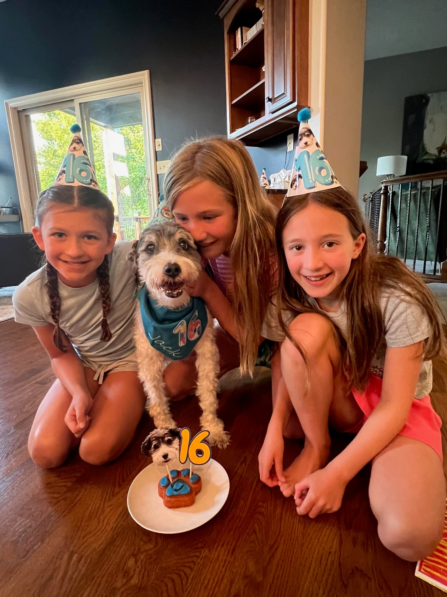 Lite Personalized Dog Party Pack