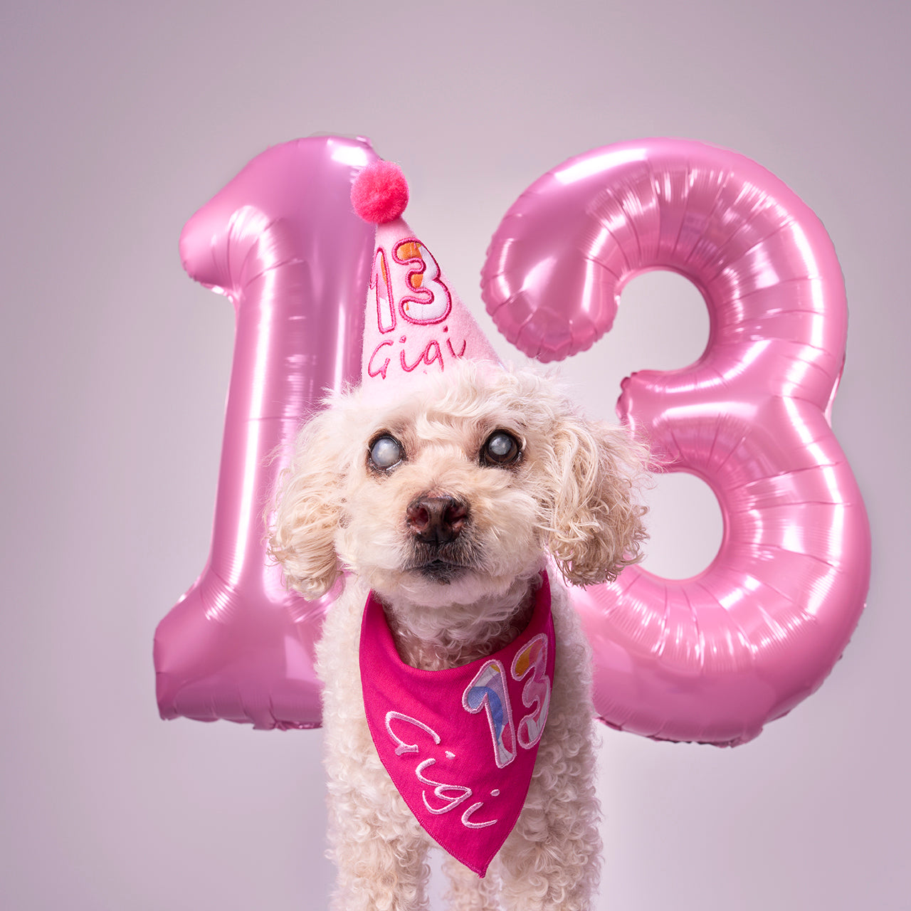 Standard Personalized Dog Party Pack