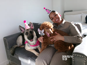 MEET RUBY: A 1-YEAR-OLD NYC PUP WITH A SIGNATURE SIDE EYE