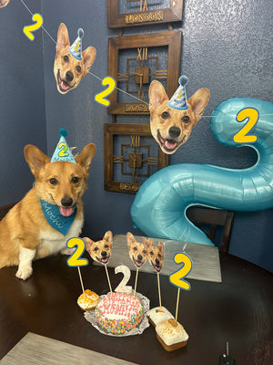 Best Dog Birthday Decorations for a Party That Looks Amazing