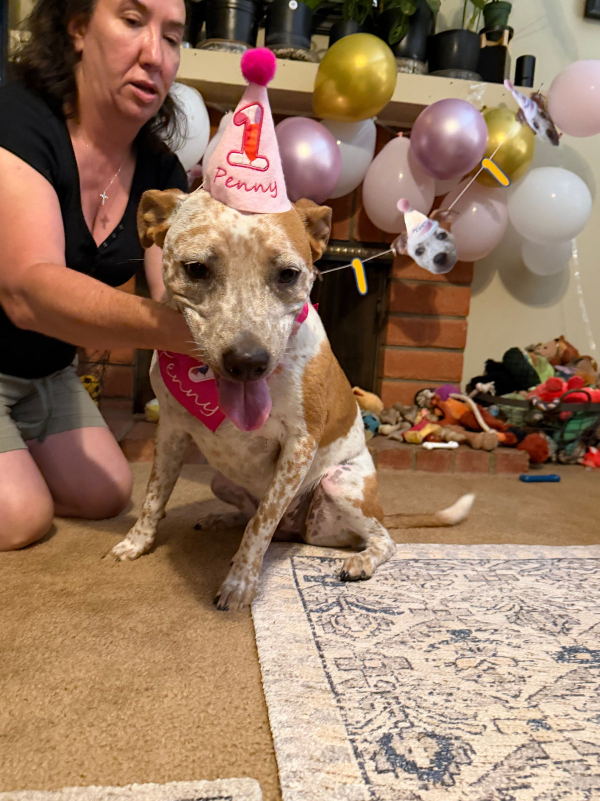 MEET PENNY: A 1-YEAR-OLD SNUGGLE BUG WHO KEEPS EVERYONE ON THEIR TOES