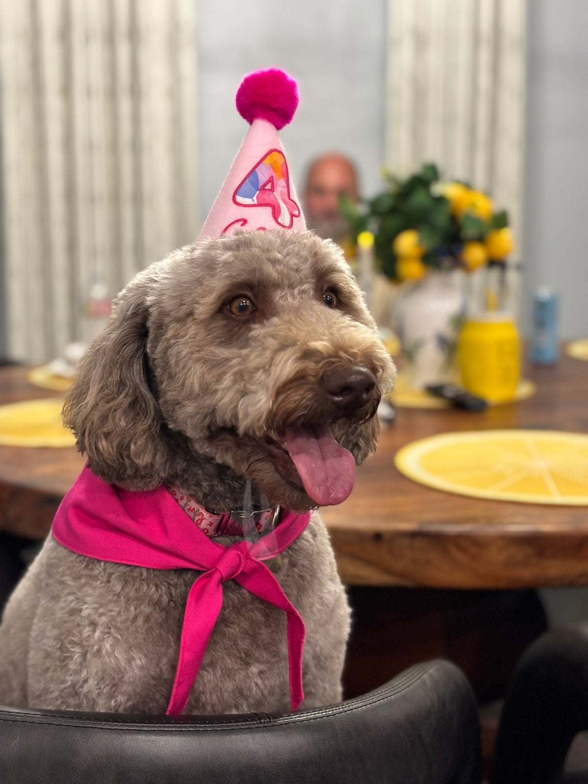 MEET COCO CHANEL: A 4-YEAR-OLD BALL-CATCHING EXTRAORDINAIRE