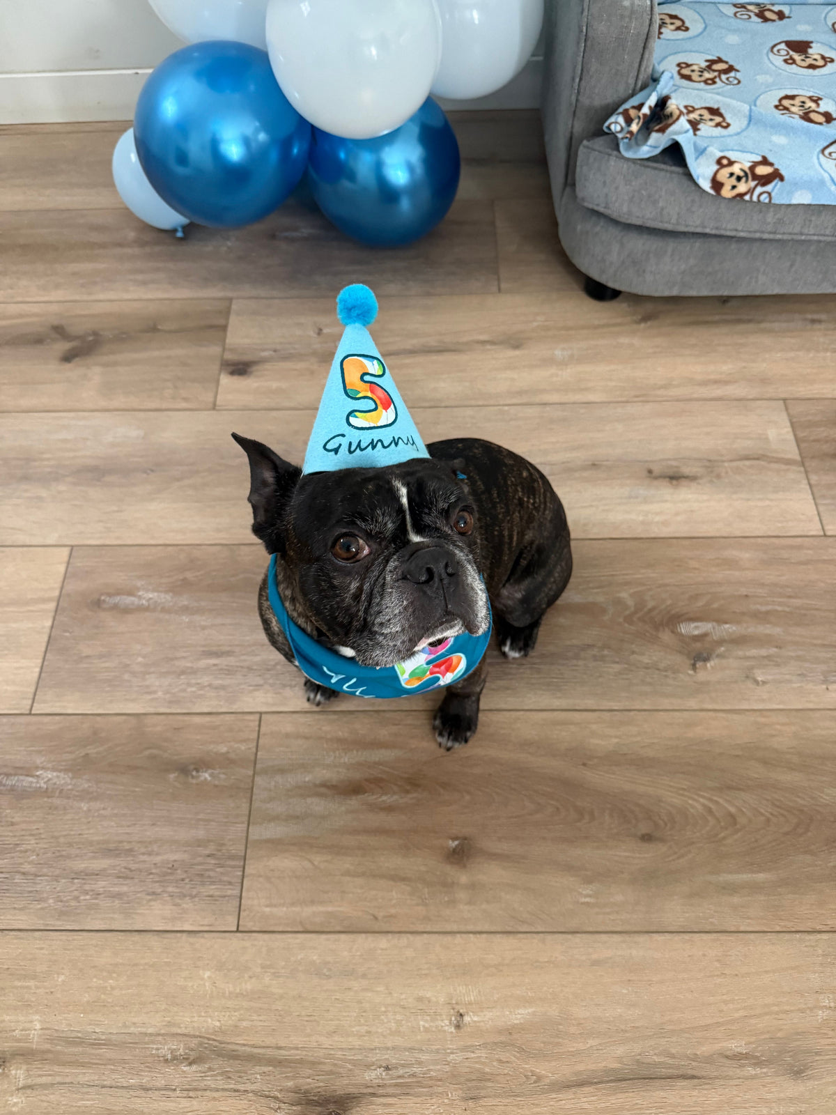 MEET GUNNY: A 5-YEAR-OLD WHOSE FAVORITE TOY IS A PICKLE AND WHOSE FAVORITE HUMAN IS YOU