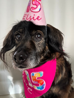 MEET ELSIE: A 15-YEAR-OLD SWEETHEART WHO'S NEVER BARKED
