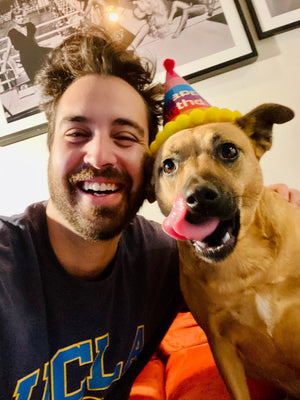 Why Celebrating Your Dog's Birthday Matters