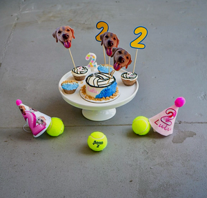 What Kind of Birthday Cake Is Safe for Dogs?