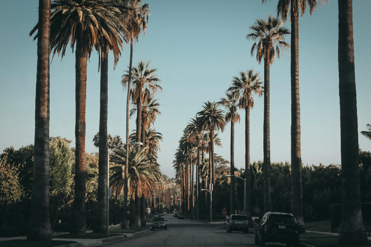 Some of Our Favorite Brands & Organizations Supporting LA Wildfire Relief Efforts