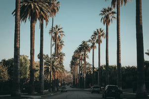Some of Our Favorite Brands & Organizations Supporting LA Wildfire Relief Efforts