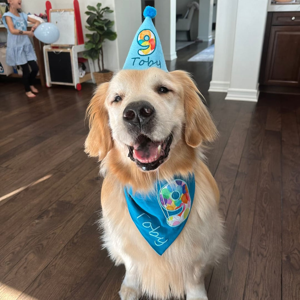 Personalized Dog Party Pack