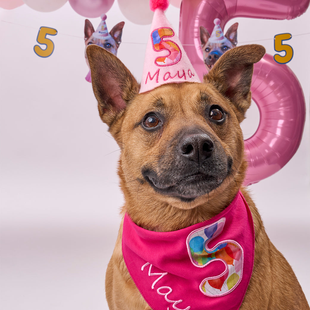 VIP Bundle: Extra Tattoos, Stickers, Party Hats + Exclusive Banner & Toppers