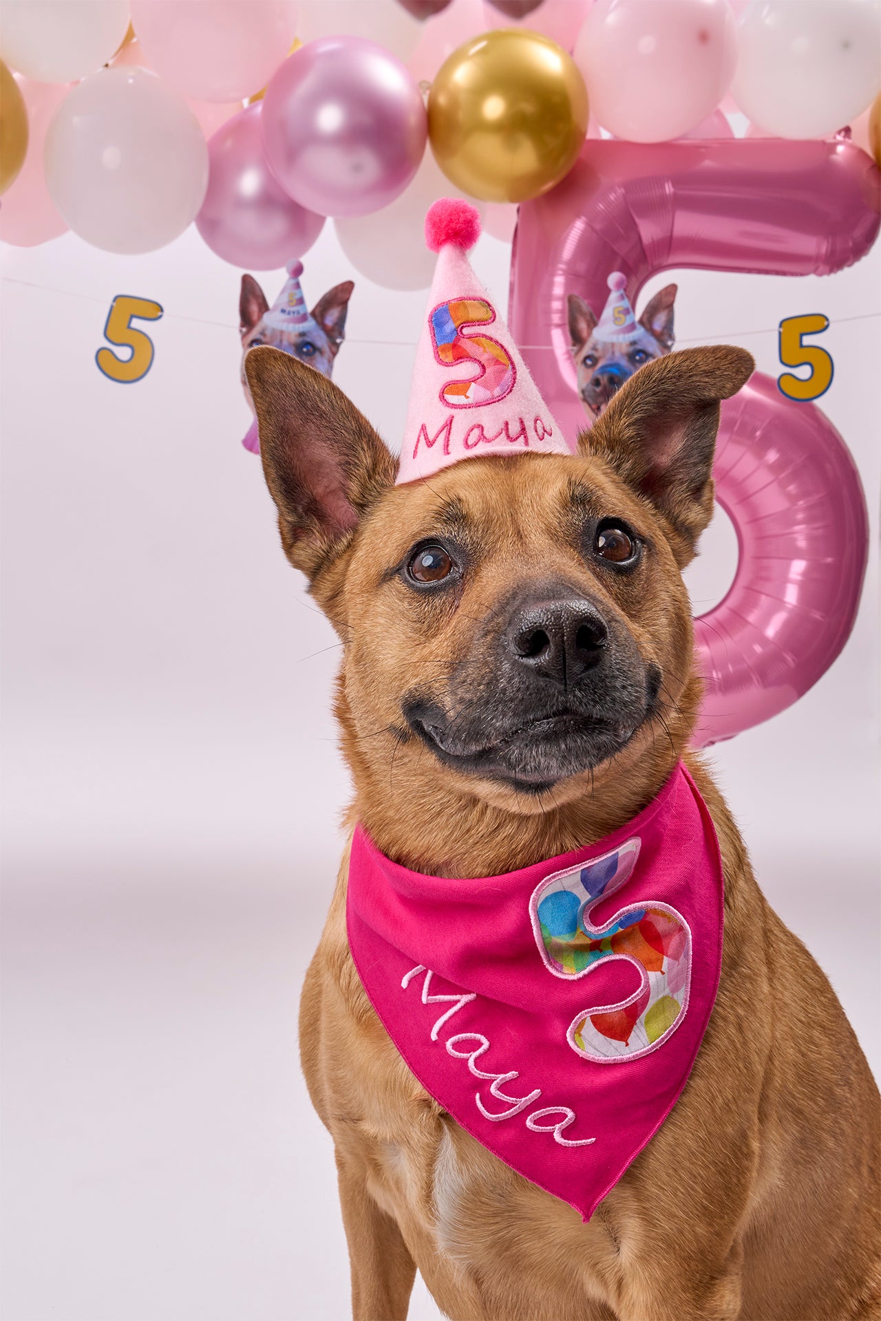 VIP Bundle: Extra Tattoos, Stickers, Party Hats + Exclusive Banner & Toppers