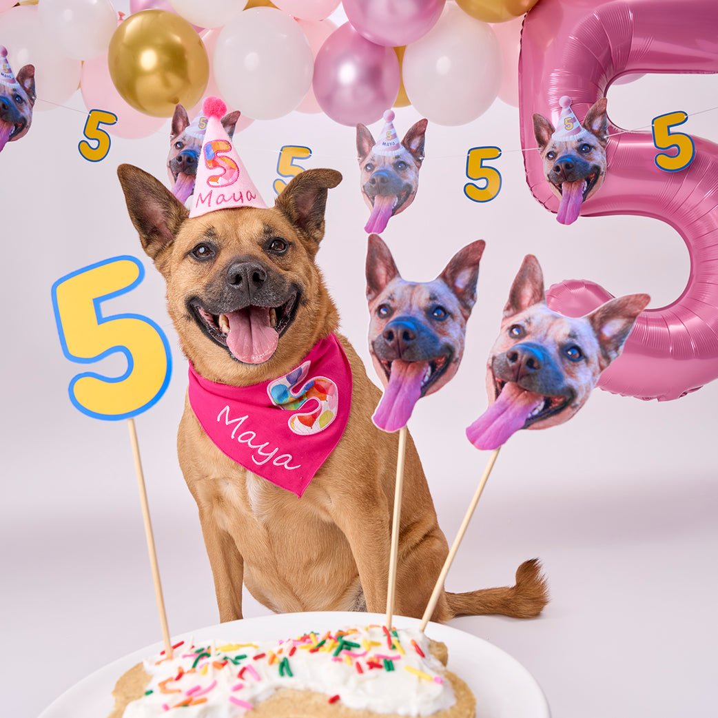 Personalized Dog Party Pack