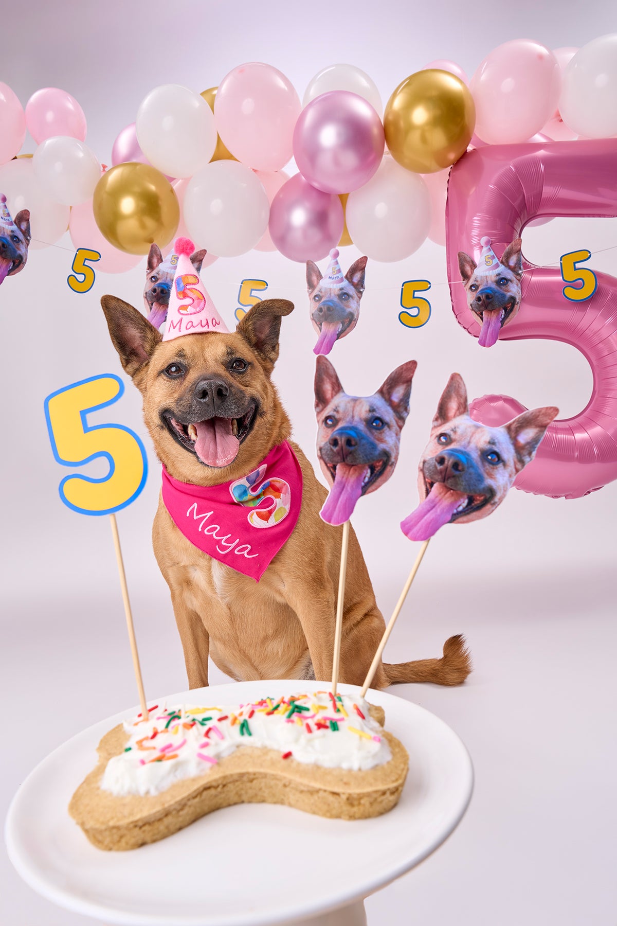 Lite Personalized Dog Party Pack