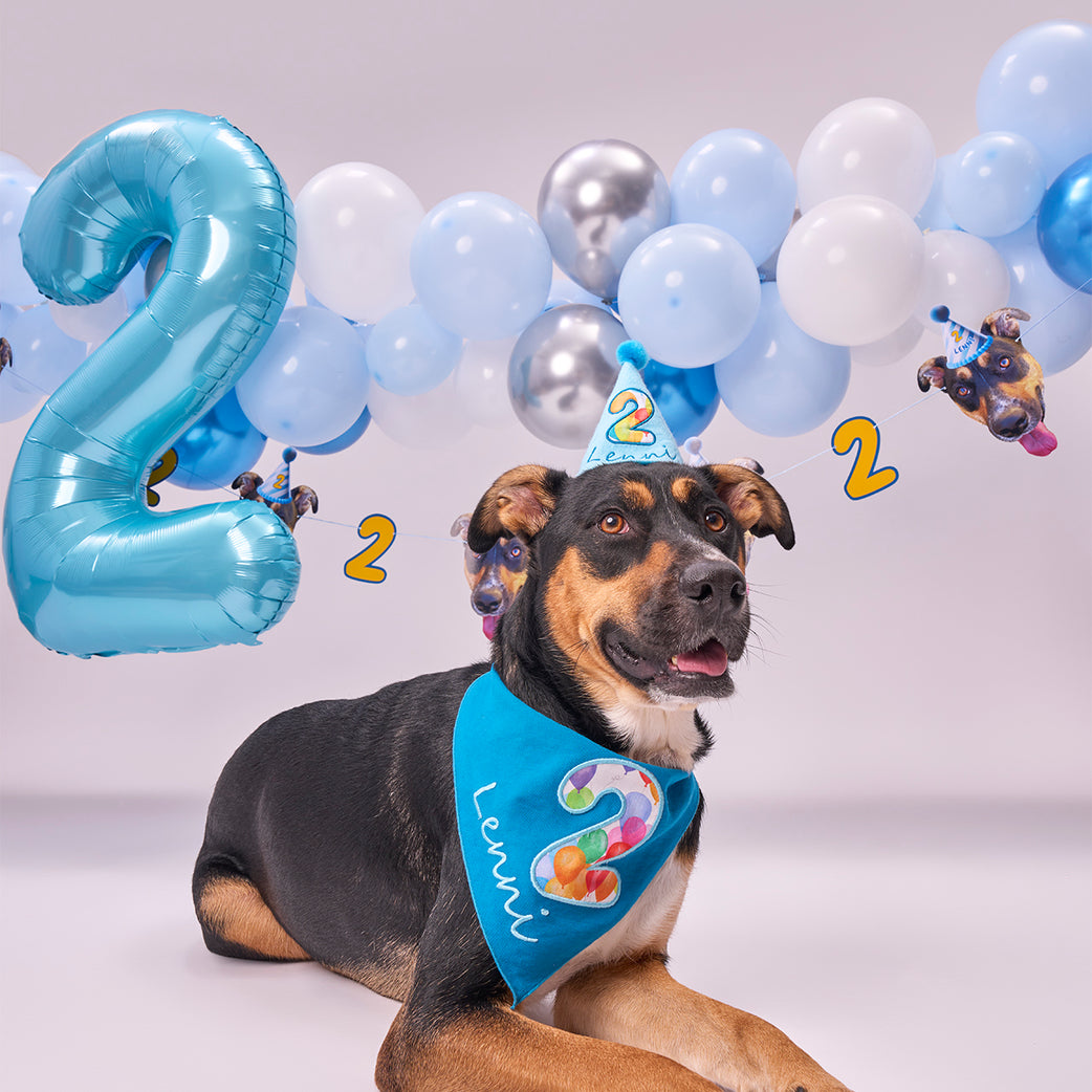 Standard Personalized Dog Party Pack (Do Not Order) - Dev