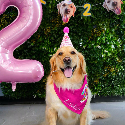 Personalized Dog Party Pack