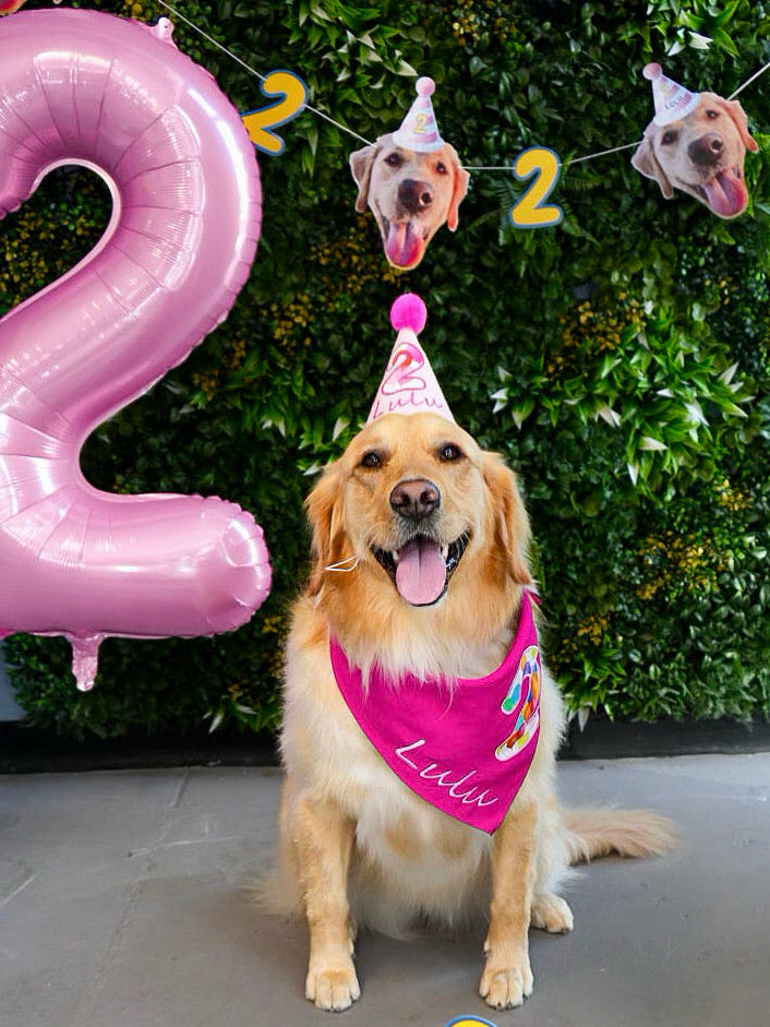 Personalized Dog Party Pack
