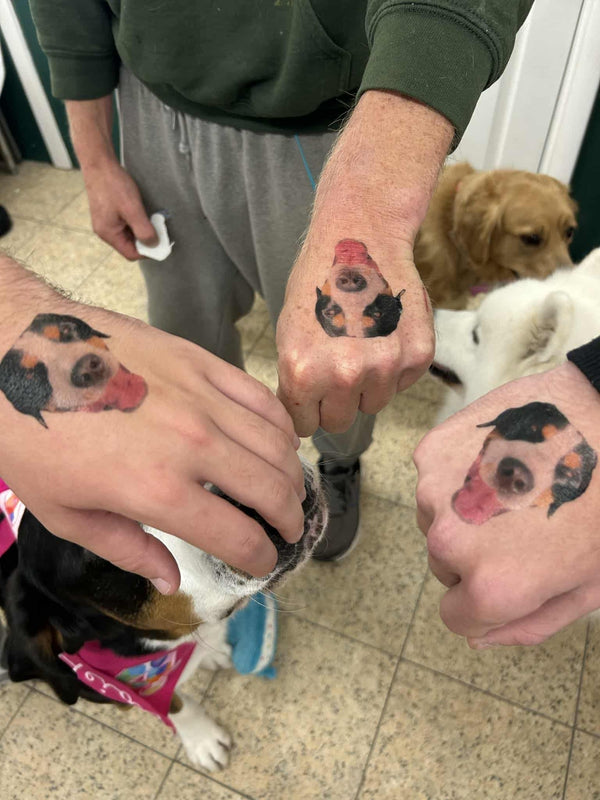 8 temporary tattoos
