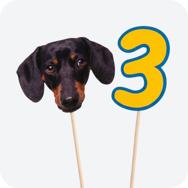 5 personalized treat toppers