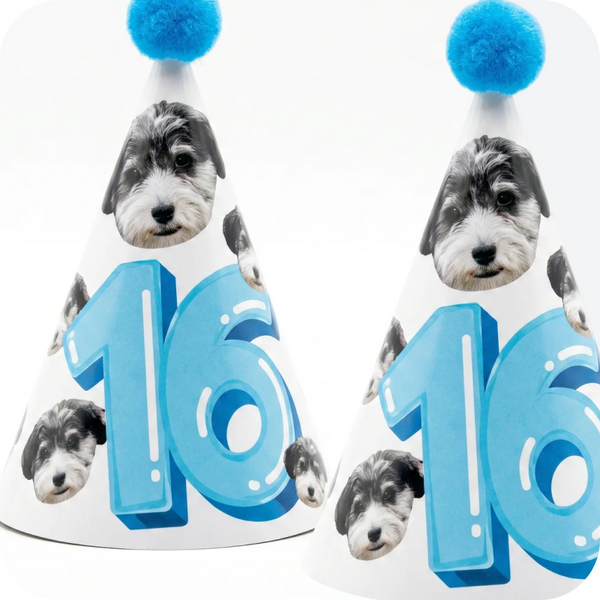 2 party hats for the humans