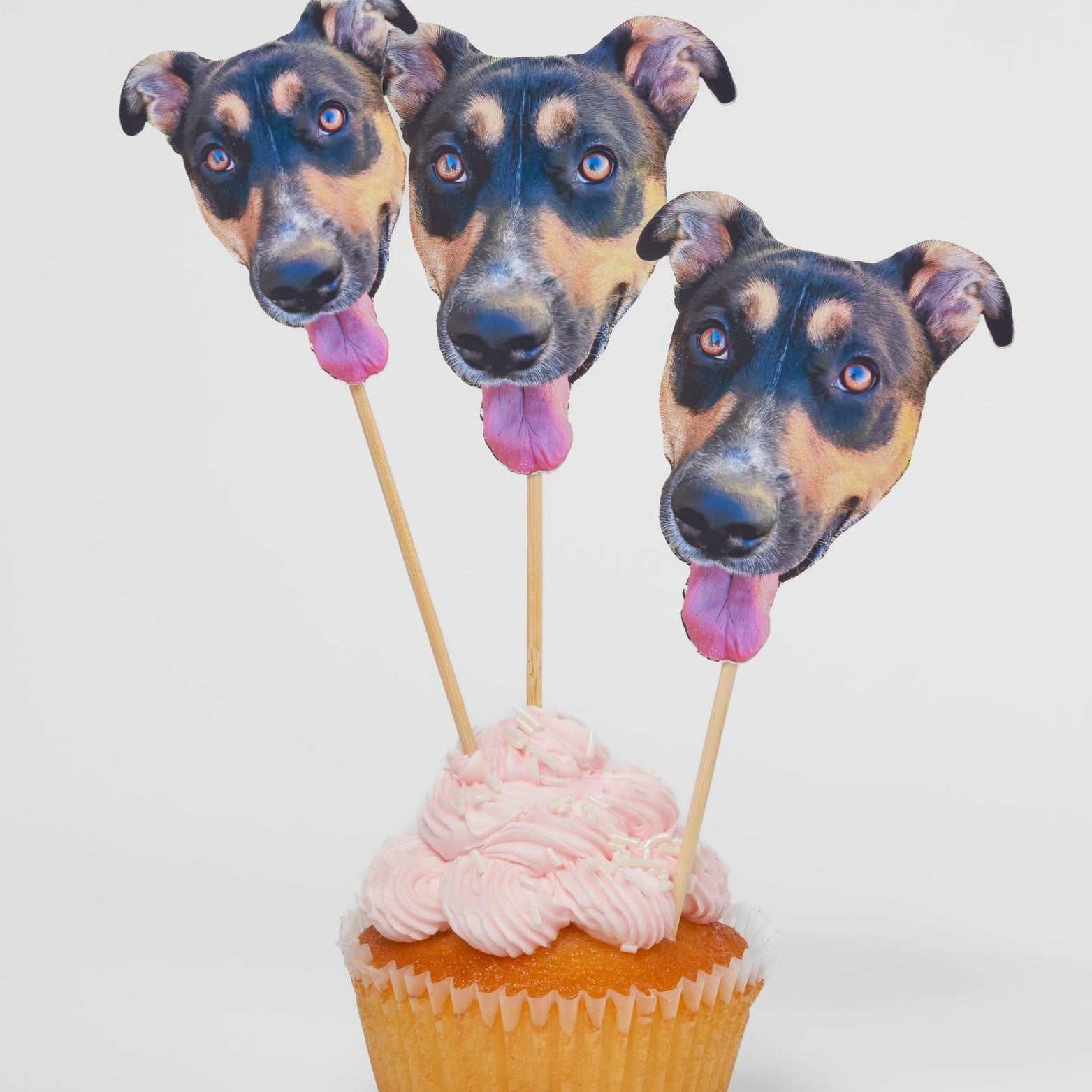 PartyAnimal PartyPack - South Park Doggie Special! - PartyAnimal