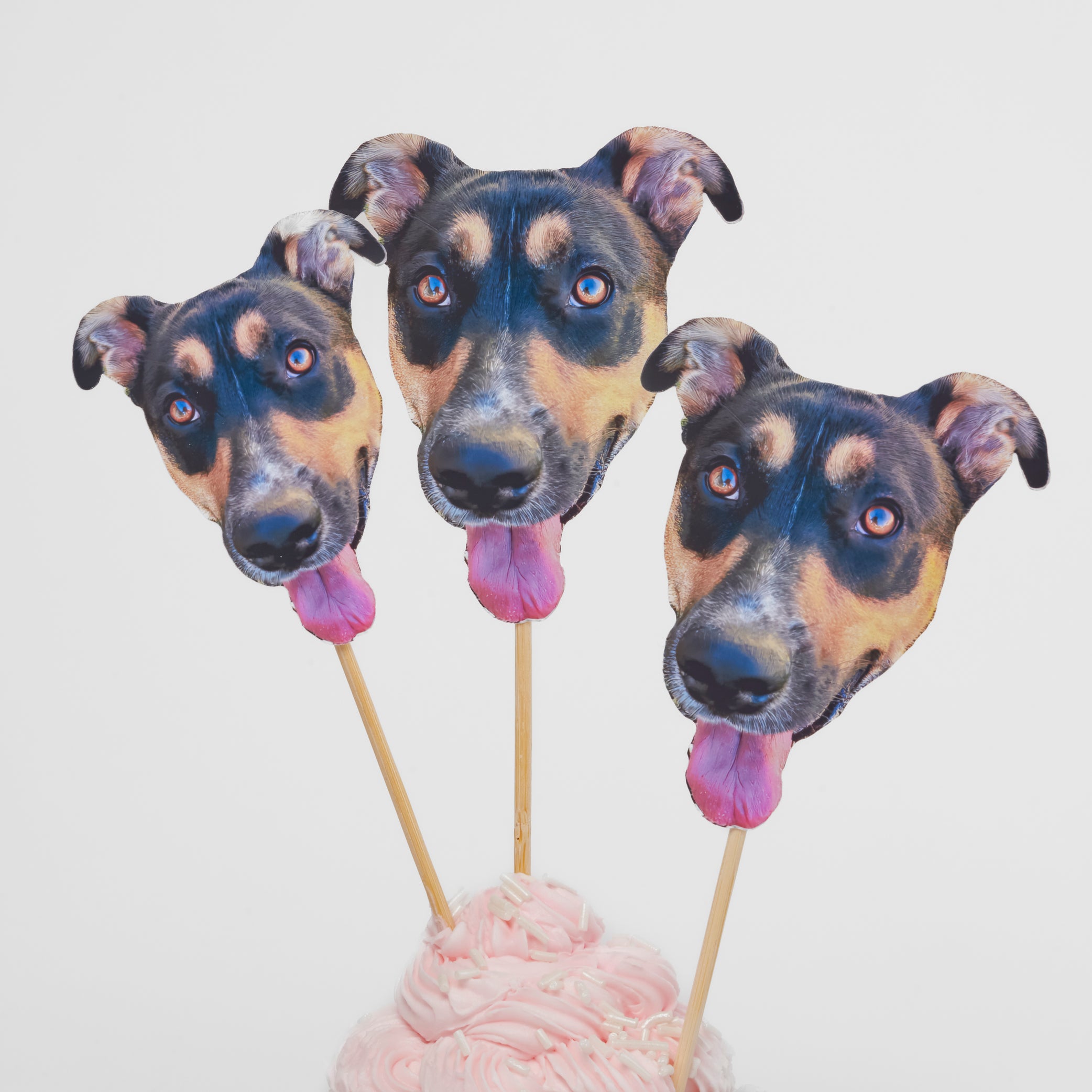 Extra Personalized Treat Toppers (Pack of 5)