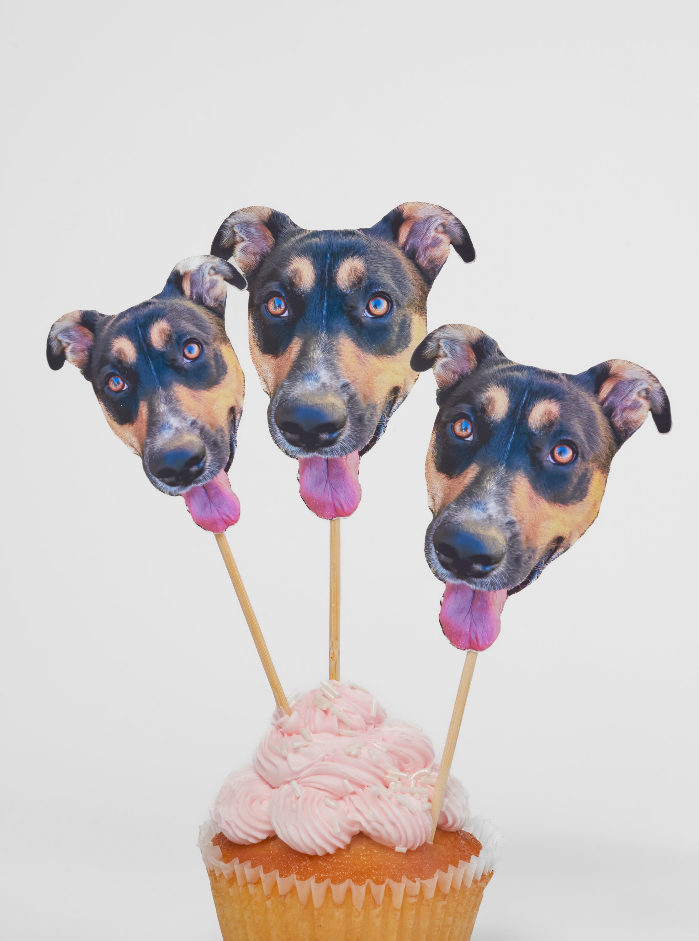 Extra Personalized Treat Toppers (Pack of 5)