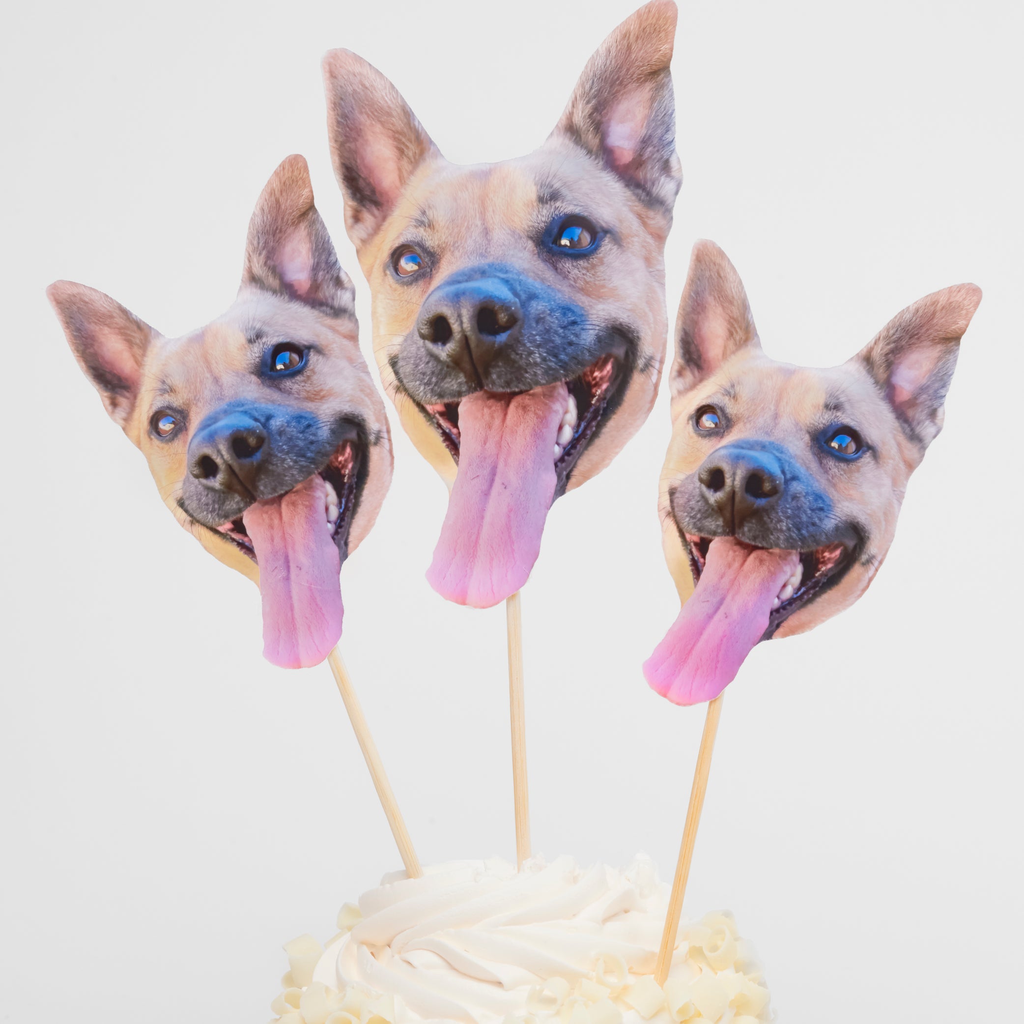 Extra Personalized Treat Toppers (Pack of 5)