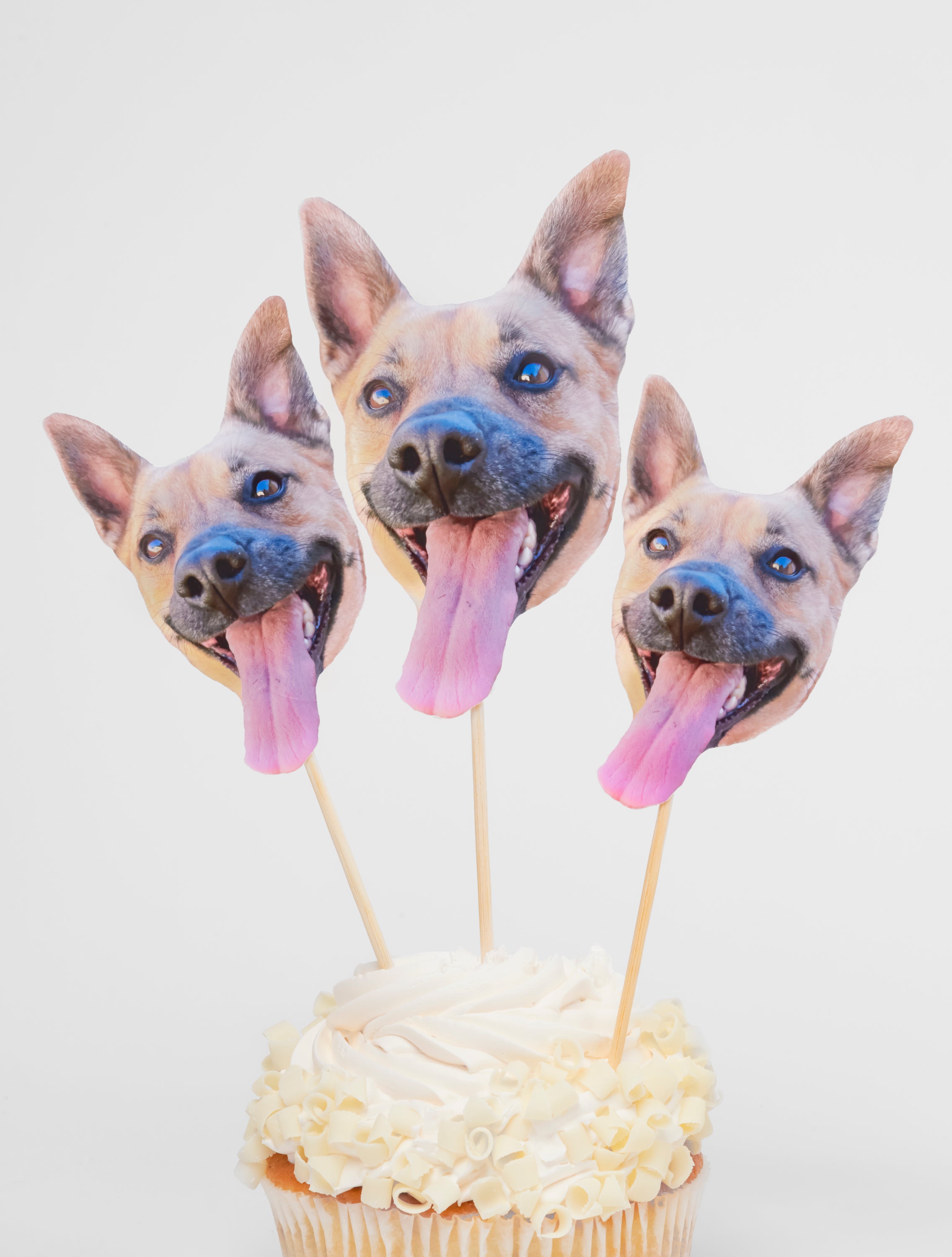 Extra Personalized Treat Toppers (Pack of 5)