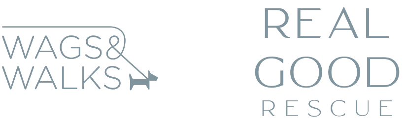 Partner rescue organizations