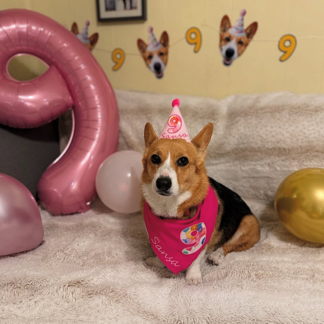 Personalized Dog Party Pack