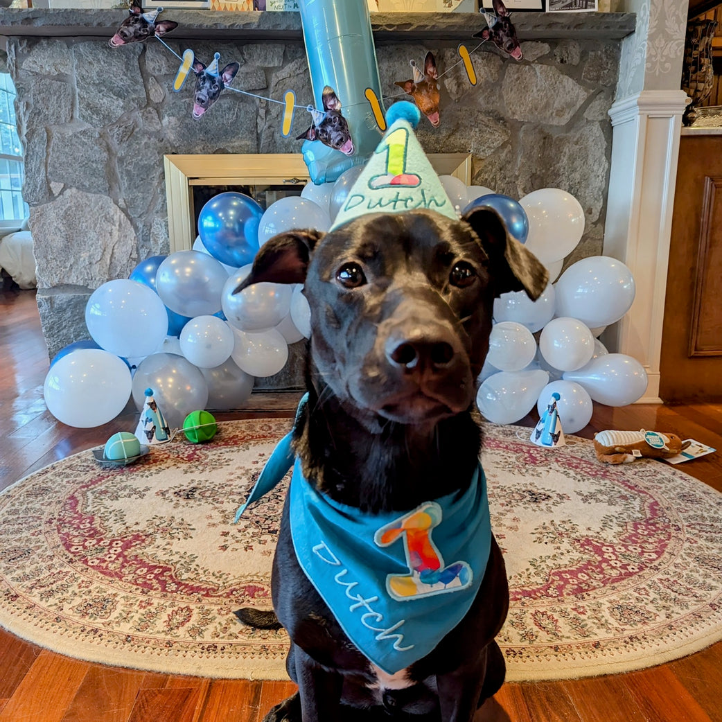 Personalized Dog Party Pack