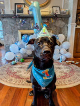 Lite Personalized Dog Party Pack