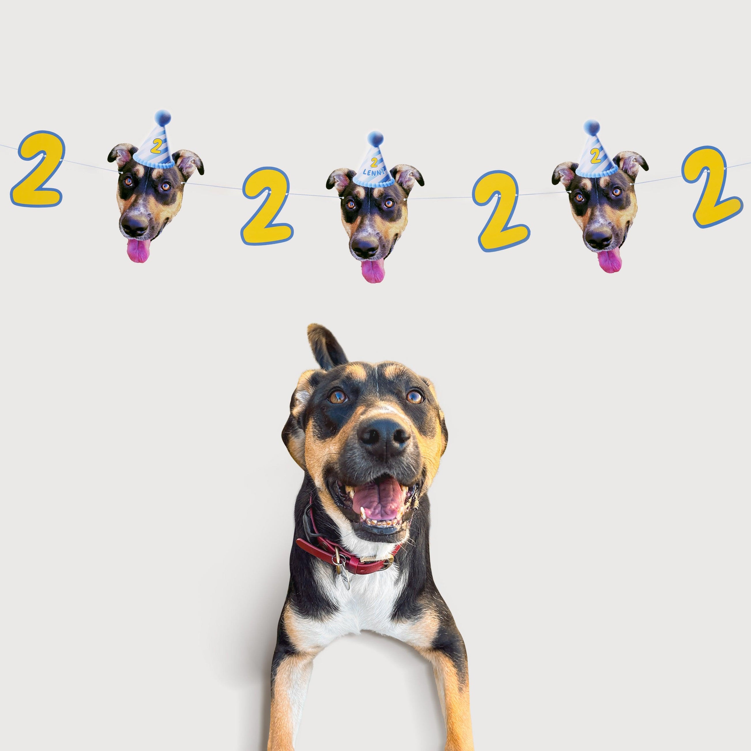 PartyAnimal PartyPack - PartyAnimal