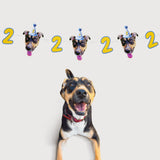 PartyAnimal PartyPack - PartyAnimal