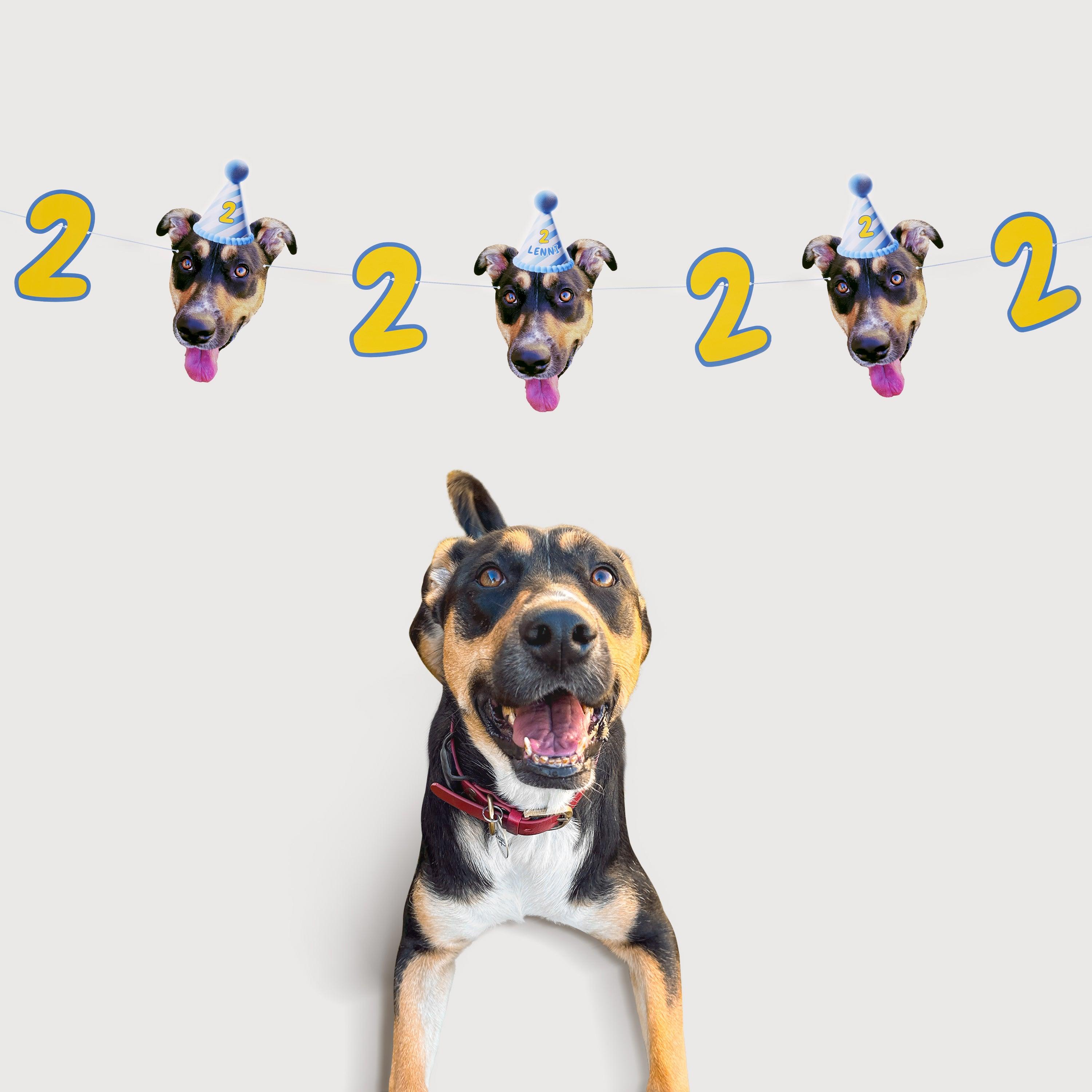 PartyAnimal PartyPack - PartyAnimal